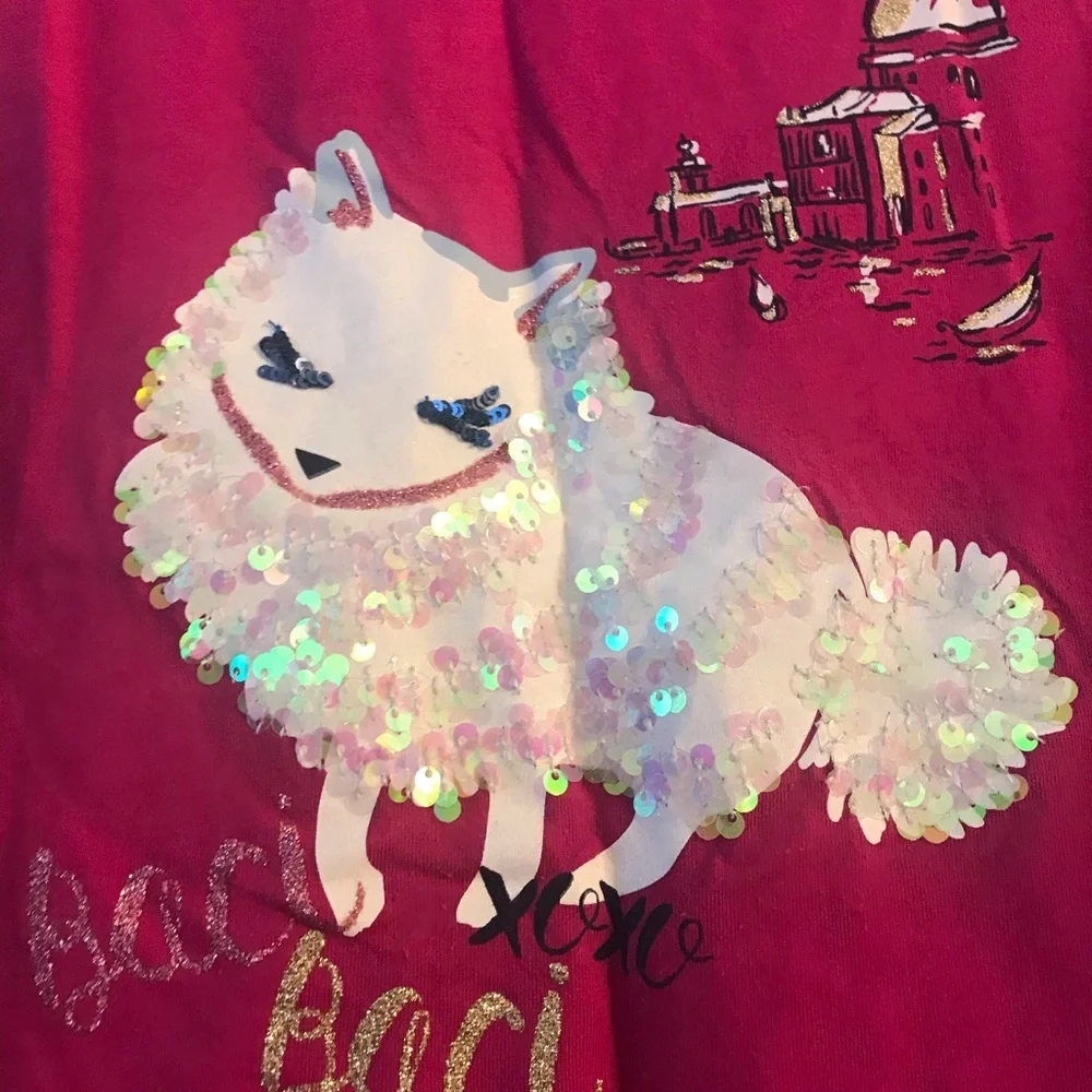 Gymboree shirt, size 7-8